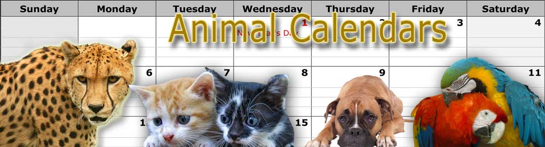 Promotional Animal Calendars, Domestic, Wildlife, Farm Animals