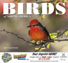 Birds of North America Calendar Stitched Binding promotional calendar – Birds Calendars – 2026