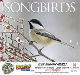 Nature's Songbirds Calendar Stapled promotional calendar – Birds Calendars – 2026