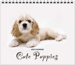 Cute Puppies Wall Calendar, 12.25x22, Spiral promotional calendar – Pets Calendars – 2026