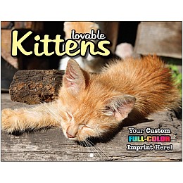 Kittens Promotional Mini Calendar promotional calendar – Mini Wall Calendars – 2026