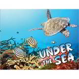 Under The Sea Promotional Mini Calendar promotional calendar – Mini Wall Calendars – 2026