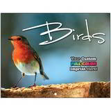 Birds Promotional Mini Calendar promotional calendar – Mini Wall Calendars – 2026
