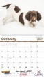 2026 Promotional Calendars