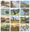 Wildlife Promotional Calendar 2026 months