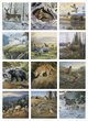 Wildlife Art Promotional Calendar 2026