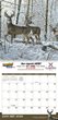 Wildlife Art Promotional Calendar 2026