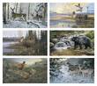 Wildlife Art Promotional Calendar 2026