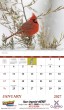 Birds of North America Promo Calendar, Item # 7036 open view image