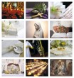 Catholic Faith calendar item 7054 monthly images