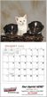 2026 Promotional Calendars