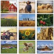 2026 Promotional calendar Agriculture, Item BC-205 monthly images