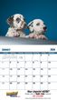 2026 Promotional calendar Puppies & Kittens, Stapled, Item BC-210 open view