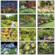 2026 Promotional calendar Gardens, Item BC-220 monthly images