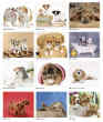 2026 Cute Puppies Promotional wall calendar Item JC-203 monthly images