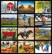 Country Spirit Calendar Stapled 2026
