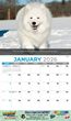  Item MC-0135 open view Dogs themed calendar