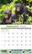 International Wildlife Calendar Stapled 2026